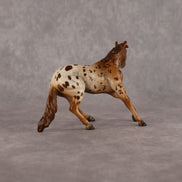Speedy Sue OOAK Chip Cutting Horse by Anna Rieck LHS26