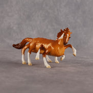 Sperora OOAK  EFCM Chip Mustang by Erin Corbett & Matt Samuels MM26
