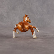 Sperora OOAK  EFCM Chip Mustang by Erin Corbett & Matt Samuels MM26