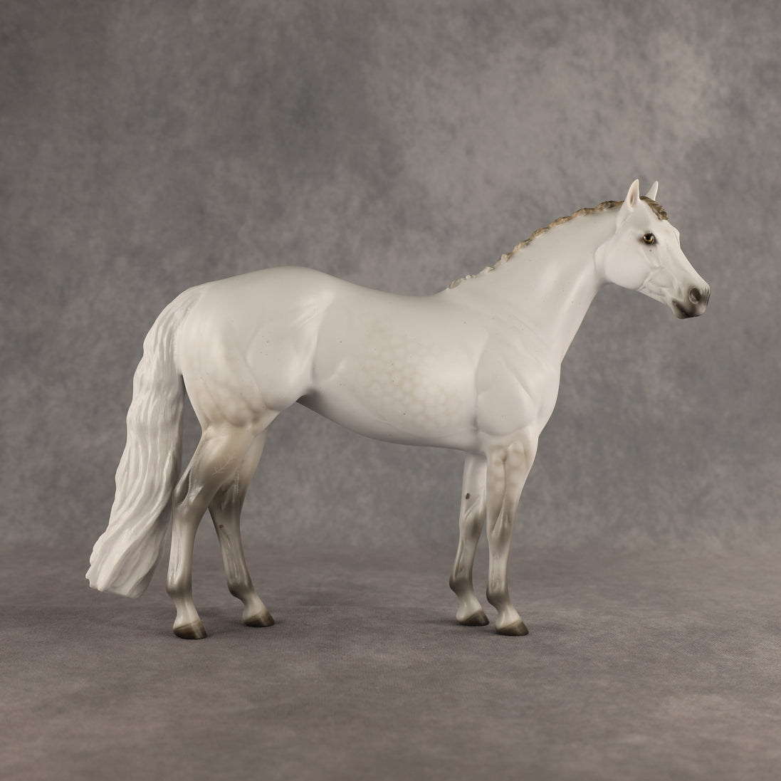 Spica LE-9 FCM Ideal Stock Horse by Ashley Palmer