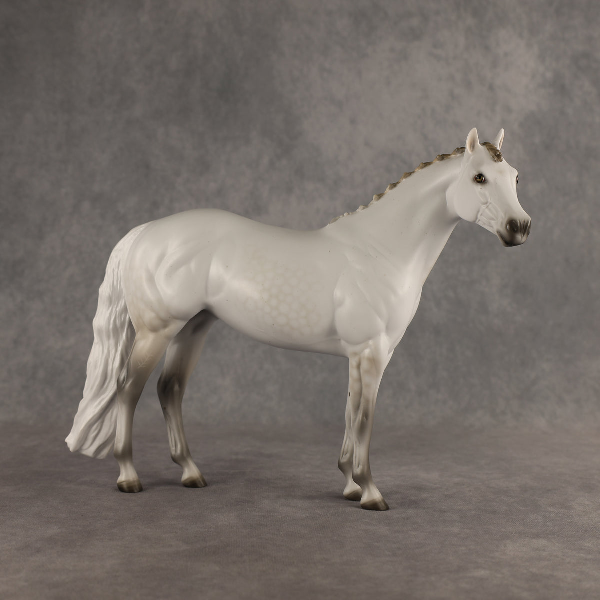 Spica LE-9 FCM Ideal Stock Horse by Ashley Palmer