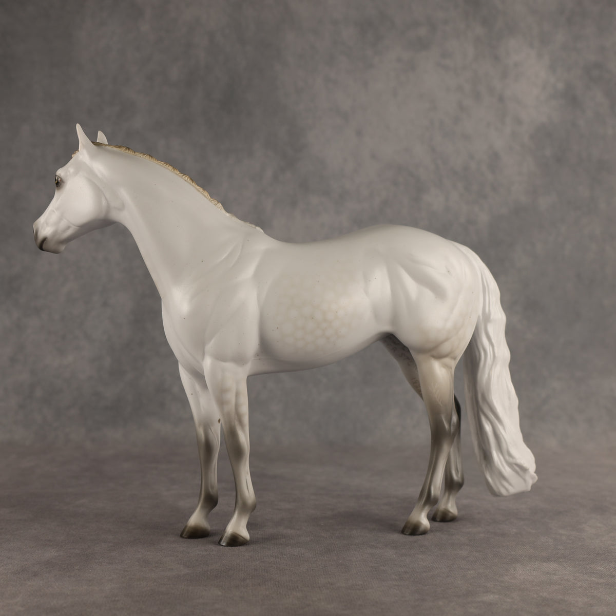 Spica LE-9 FCM Ideal Stock Horse by Ashley Palmer