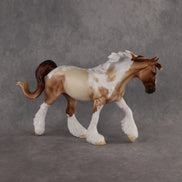 Spice LE-15 FCM Irish Cob by Ellen Robbins HM26
