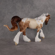 Spice LE-15 FCM Irish Cob by Ellen Robbins HM26