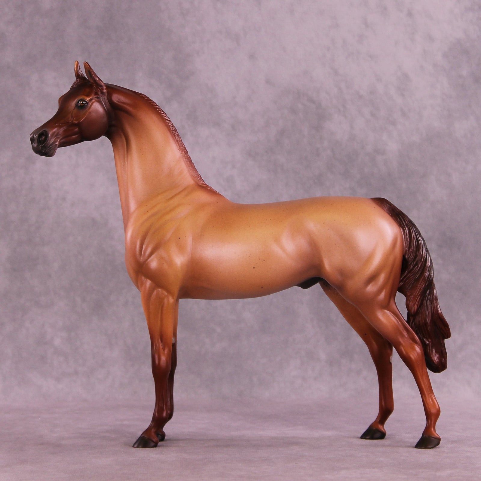 Spice Cake OOAK Arabian Stallion by Ellen Robbins MM25 Group B