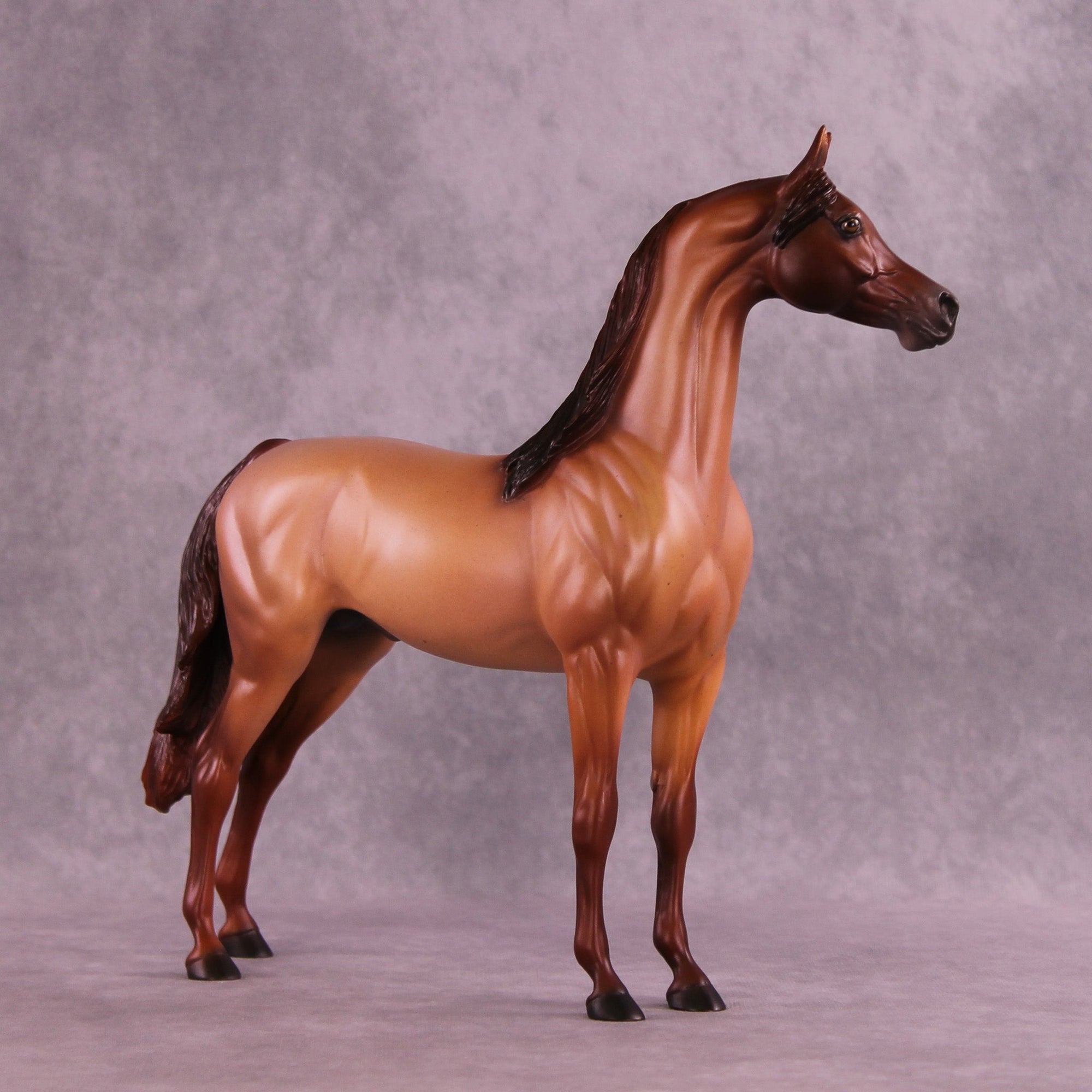 Spice Cake OOAK Arabian Stallion by Ellen Robbins MM25 Group B