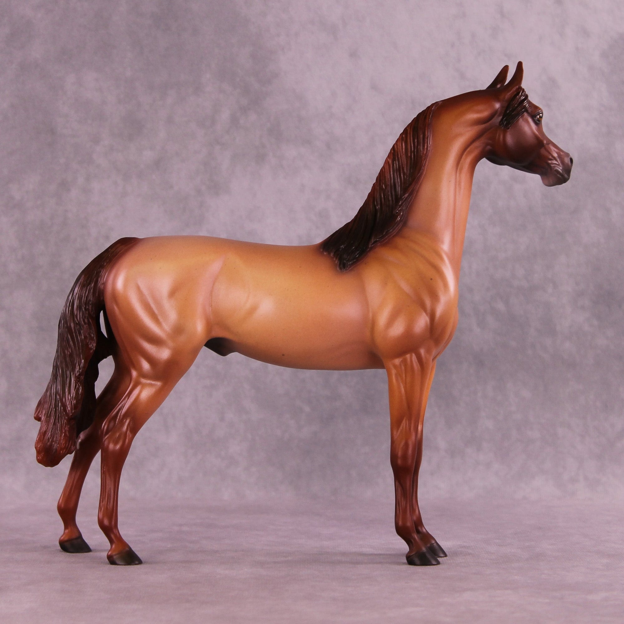 Spice Cake OOAK Arabian Stallion by Ellen Robbins MM25 Group B
