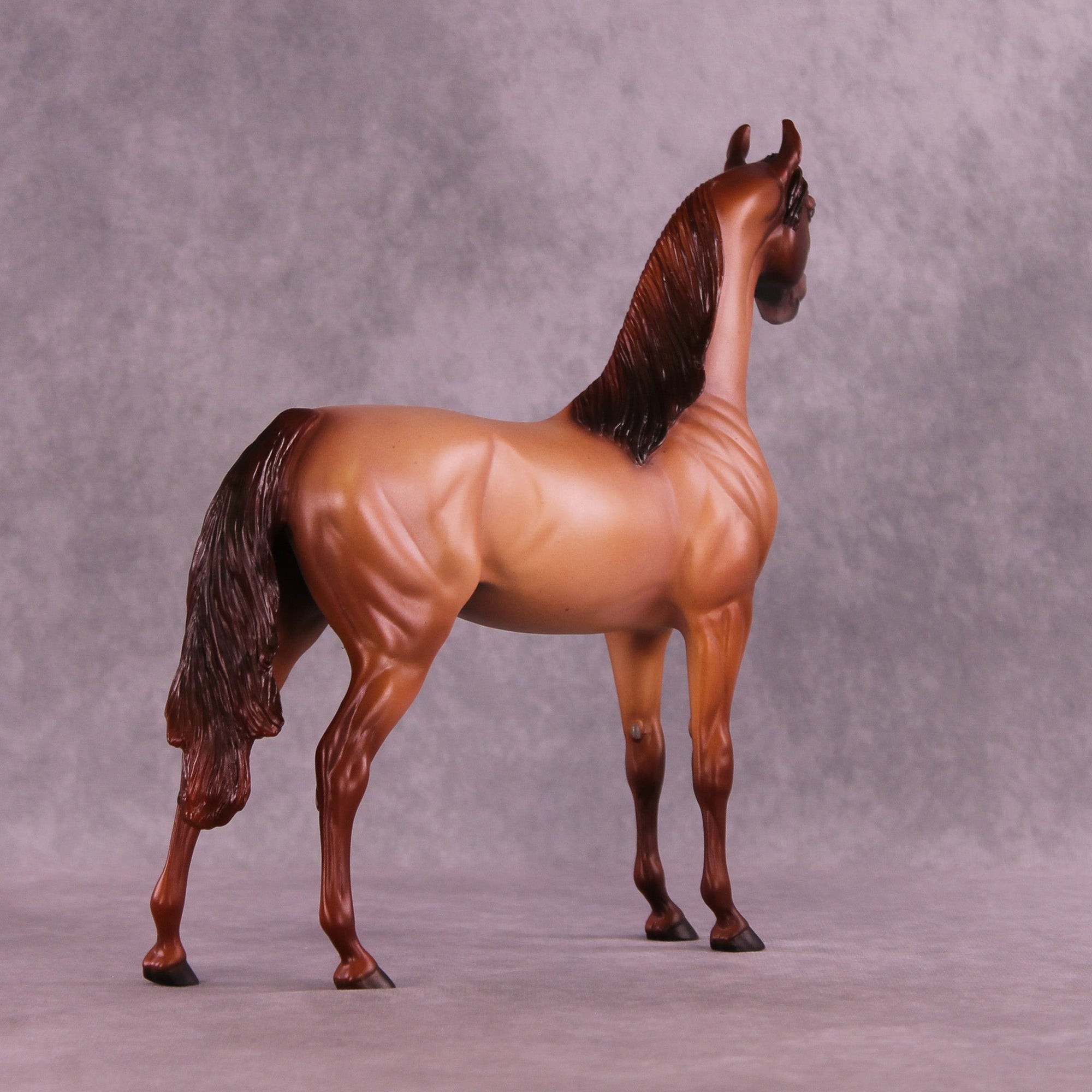 Spice Cake OOAK Arabian Stallion by Ellen Robbins MM25 Group B