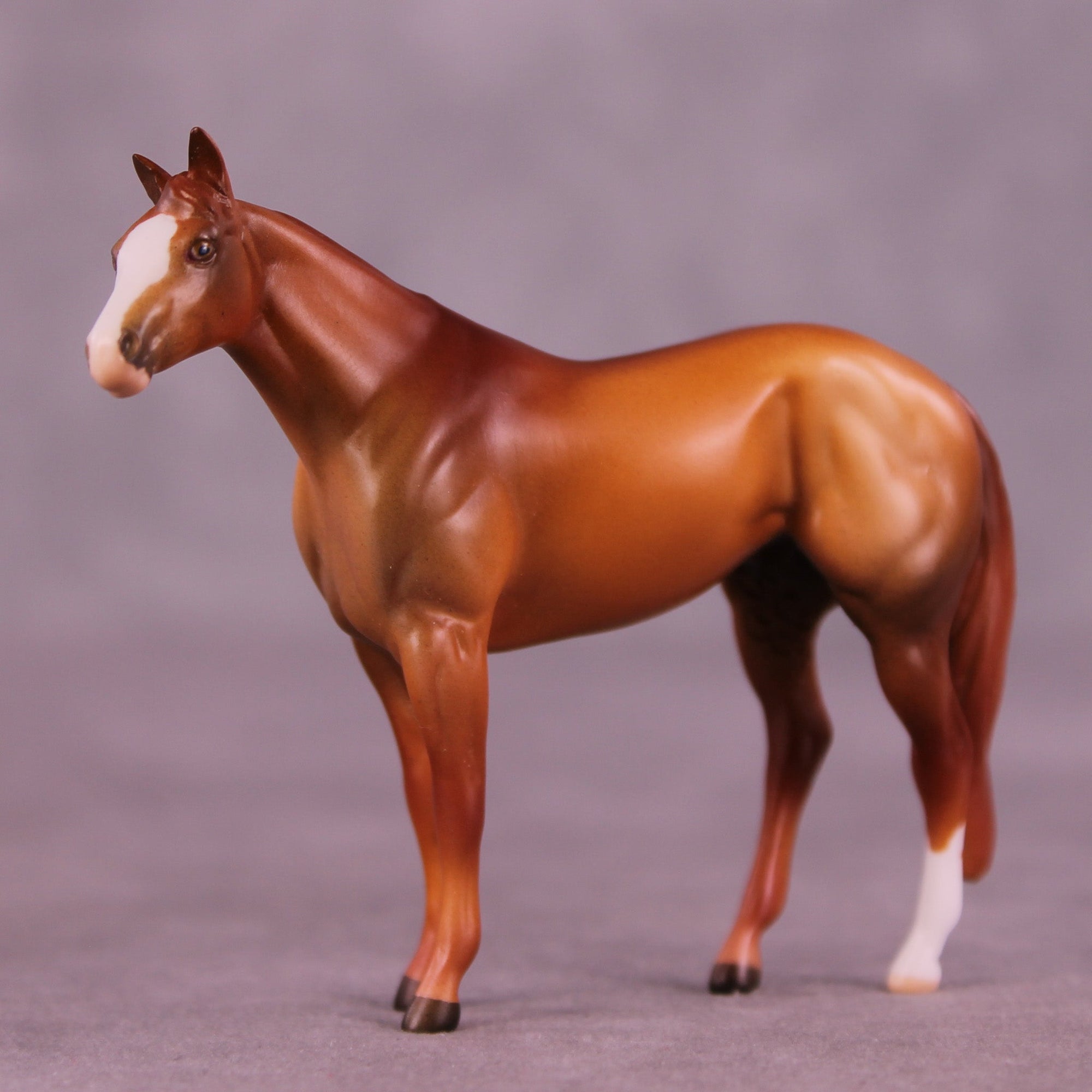 Spiced Cider OOAK Chip Stock Horse by Anna Rieck MM25 Group D
