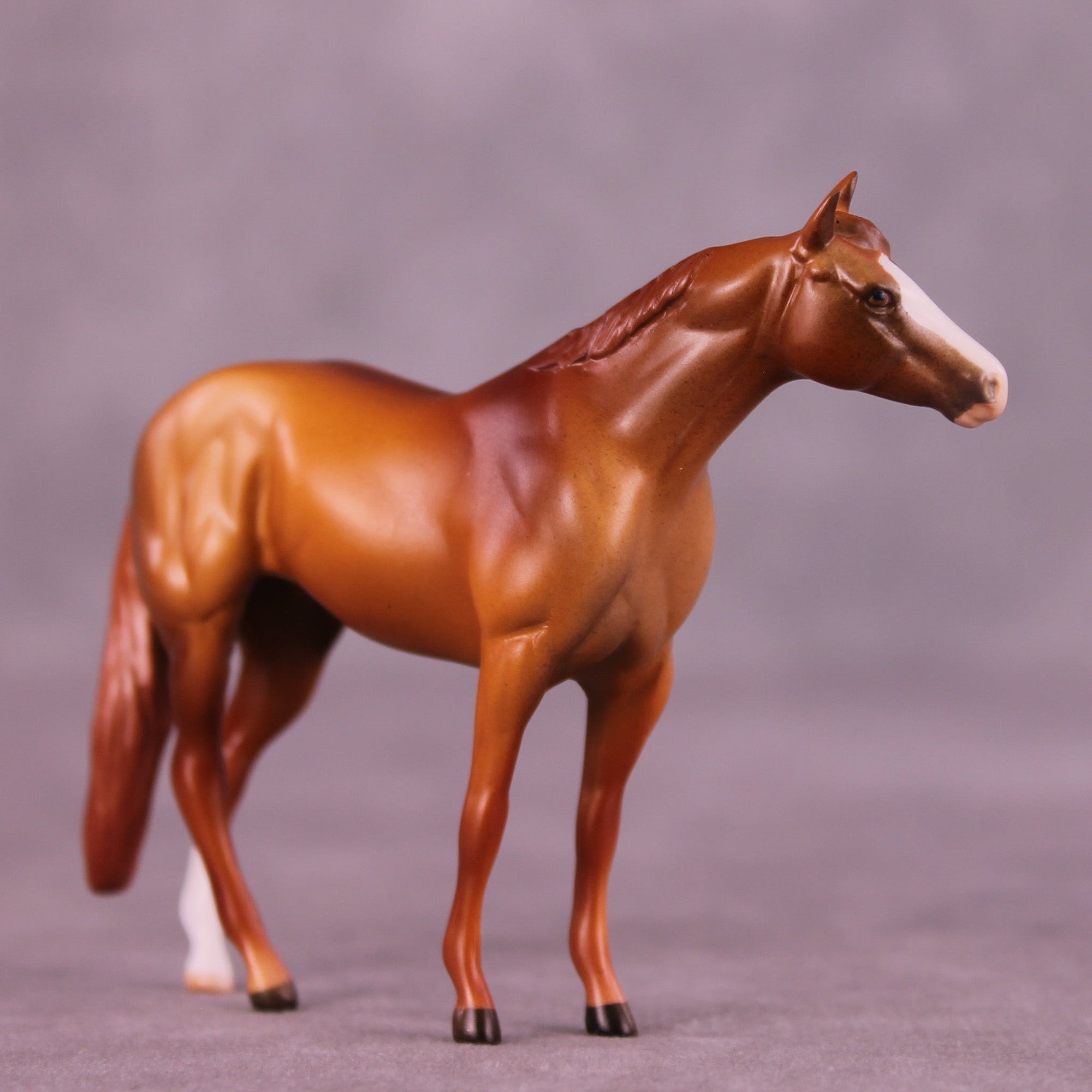 Spiced Cider OOAK Chip Stock Horse by Anna Rieck MM25 Group D