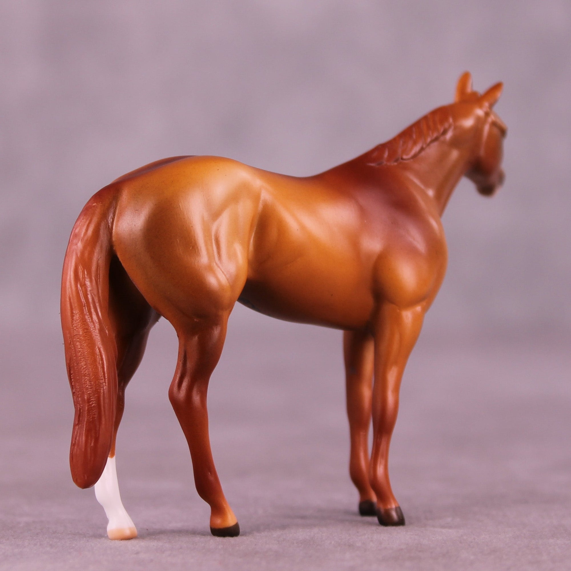 Spiced Cider OOAK Chip Stock Horse by Anna Rieck MM25 Group D