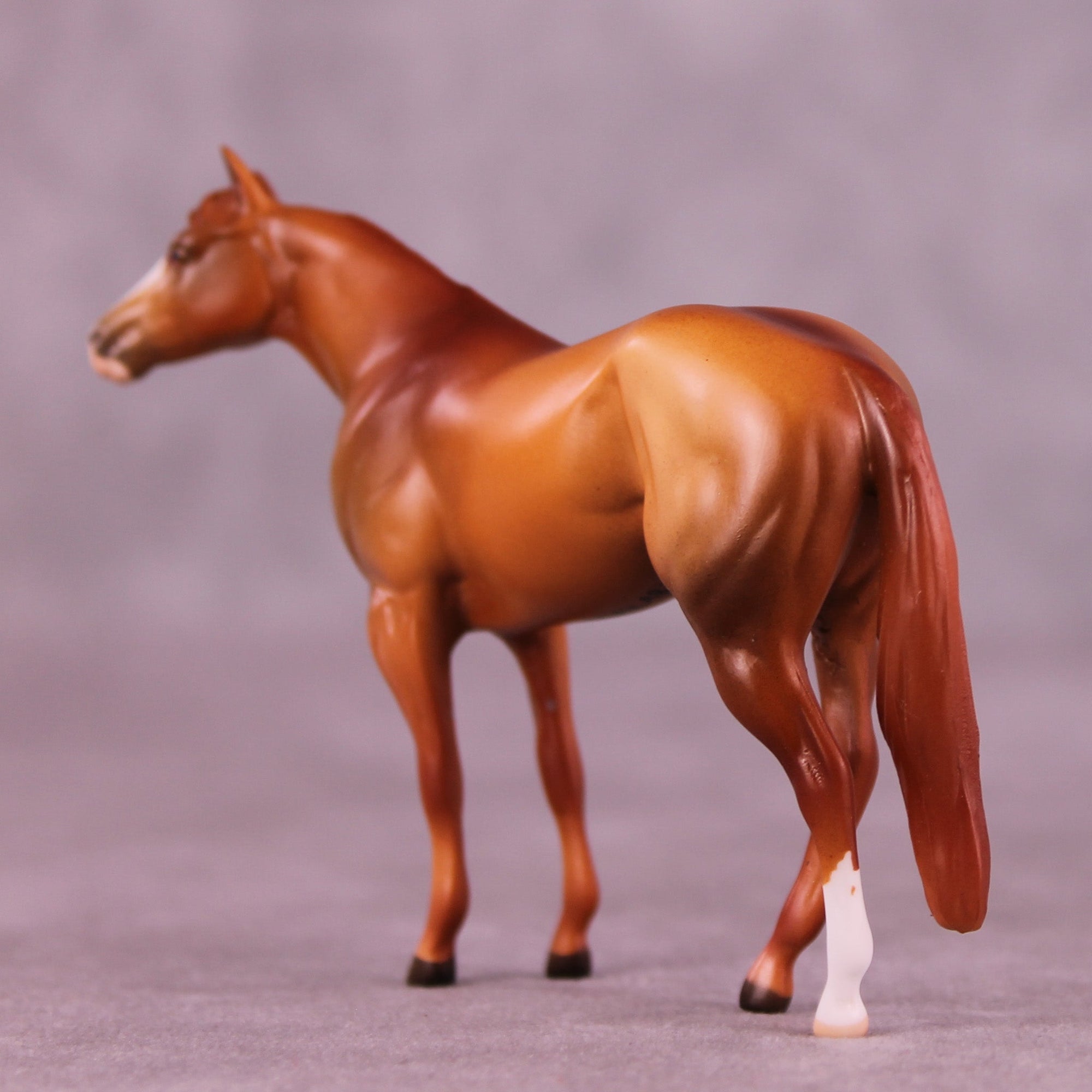 Spiced Cider OOAK Chip Stock Horse by Anna Rieck MM25 Group D