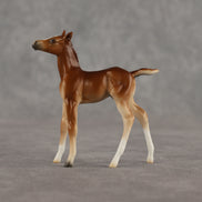 Spitfire LE-10 Chip Foal by Ellen Robbins LHS26