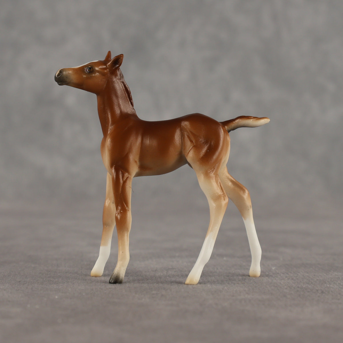Spitfire LE-10 Chip Foal by Ellen Robbins LHS26