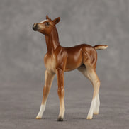Spitfire LE-10 Chip Foal by Ellen Robbins LHS26