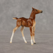 Spitfire LE-10 Chip Foal by Ellen Robbins LHS26