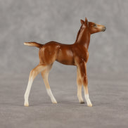 Spitfire LE-10 Chip Foal by Ellen Robbins LHS26
