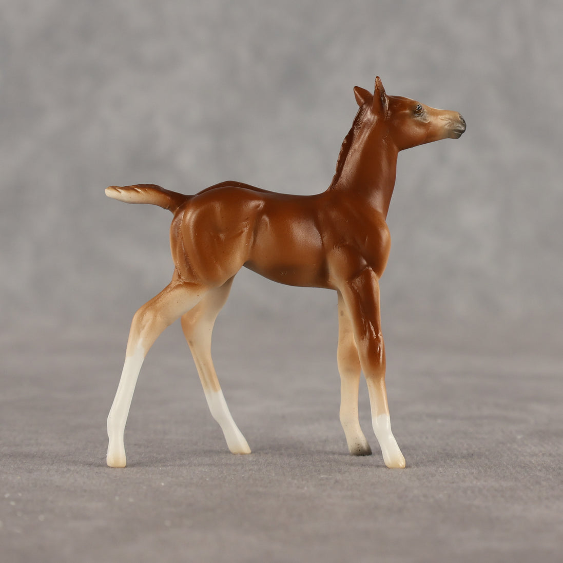 Spitfire LE-10 Chip Foal by Ellen Robbins LHS26