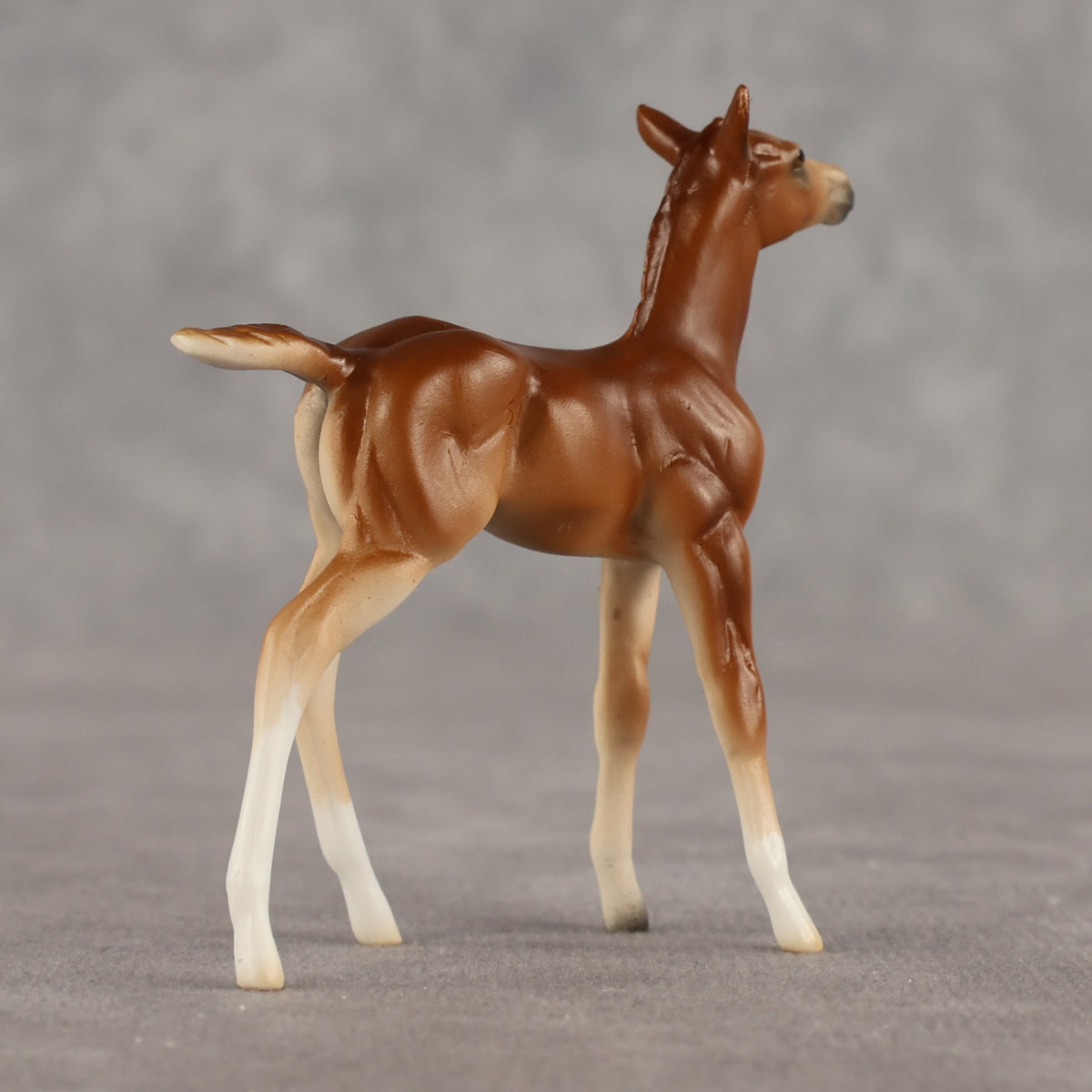 Spitfire LE-10 Chip Foal by Ellen Robbins LHS26