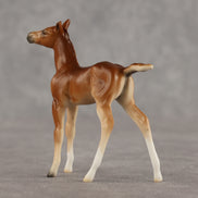Spitfire LE-10 Chip Foal by Ellen Robbins LHS26