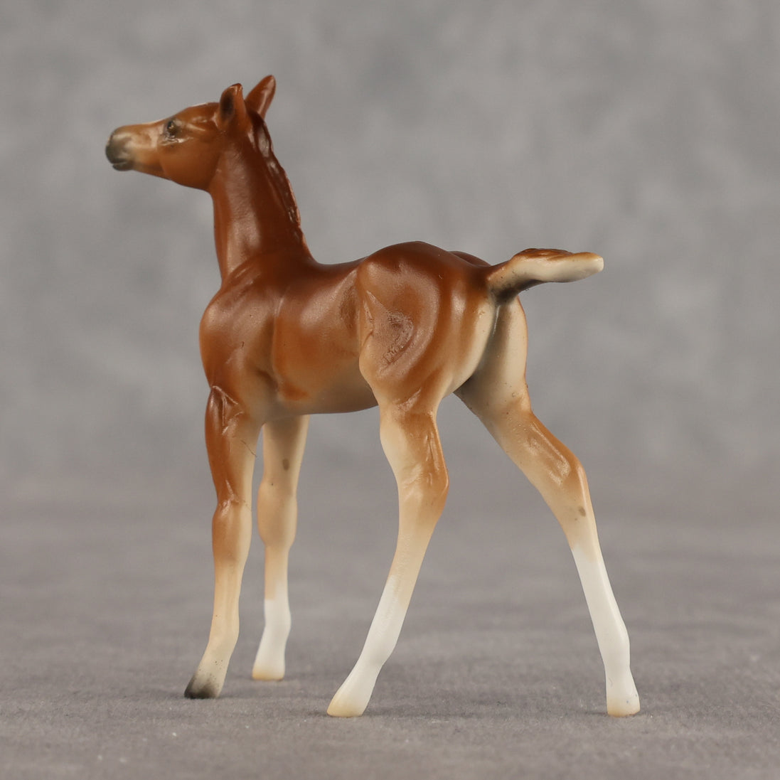 Spitfire LE-10 Chip Foal by Ellen Robbins LHS26