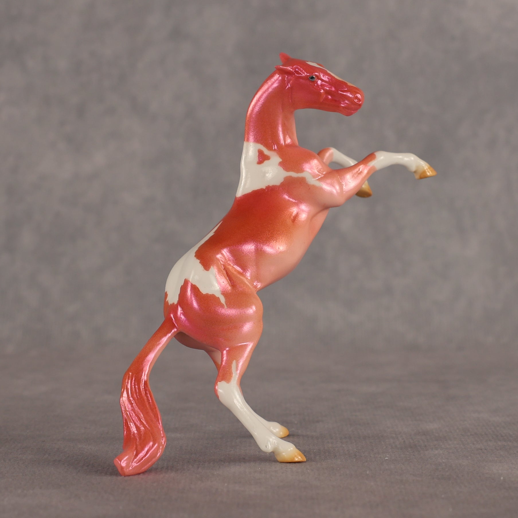 Sporty OOAK FCM Chip Mustang by Erin Corbett EQ26