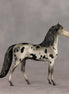 Spot My Heart OOAK Chip Morgan by Anna Rieck VV26