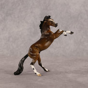 Spot Me Now OOAK Chip Mustang by Anna Rieck LHS26