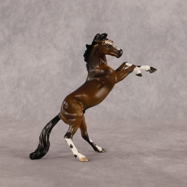 Spot Me Now OOAK Chip Mustang by Anna Rieck LHS26