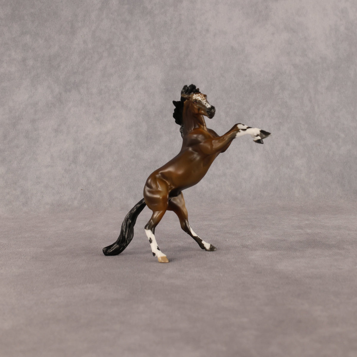 Spot Me Now OOAK Chip Mustang by Anna Rieck LHS26