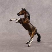 Spot Me Now OOAK Chip Mustang by Anna Rieck LHS26