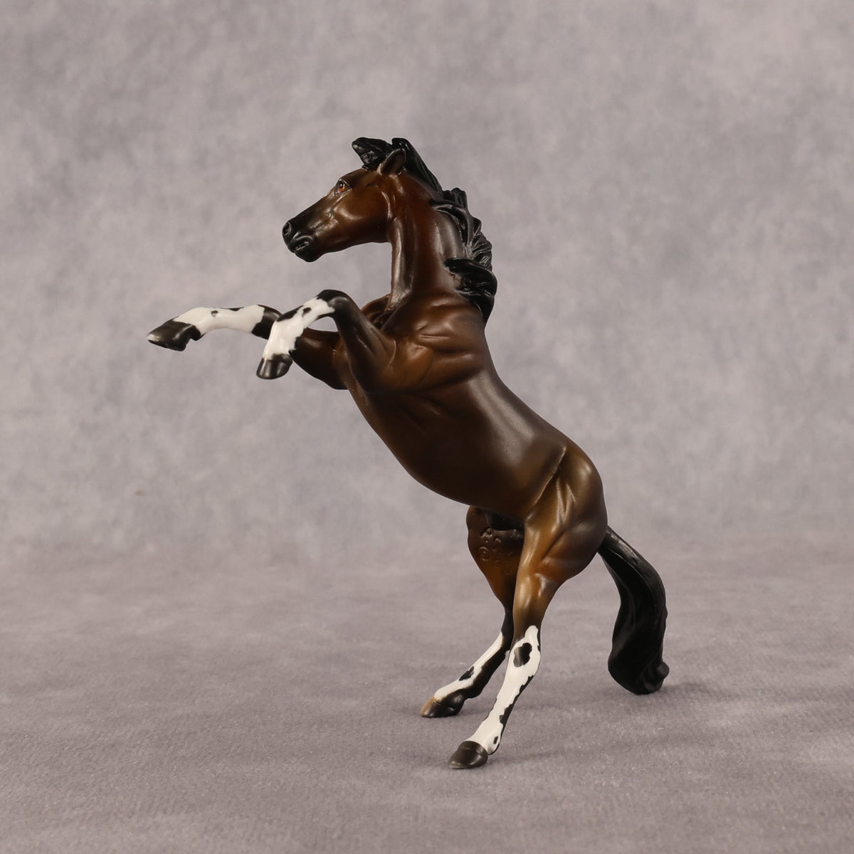 Spot Me Now OOAK Chip Mustang by Anna Rieck LHS26