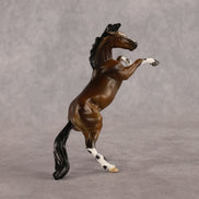 Spot Me Now OOAK Chip Mustang by Anna Rieck LHS26