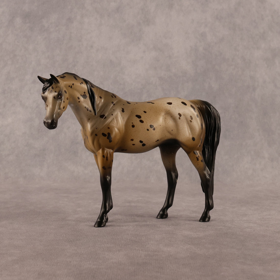 Spot The Dot OOAK Pebble Arabian Mare by Anna Rieck LHS26