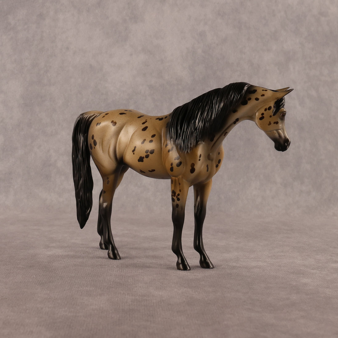 Spot The Dot OOAK Pebble Arabian Mare by Anna Rieck LHS26