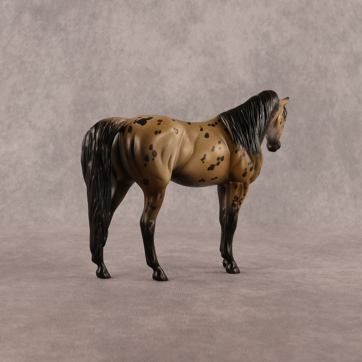 Spot The Dot OOAK Pebble Arabian Mare by Anna Rieck LHS26