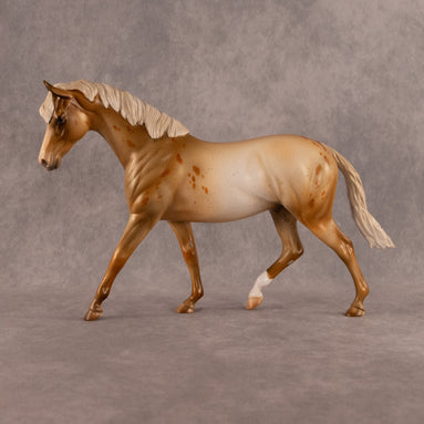 Spots OOAK FCM Pony by Julie Keim EQ26