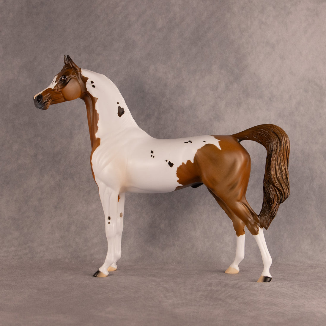 Spotted Luck OOAK Arabian Stallion by Alex Fortman DDOOAKs26