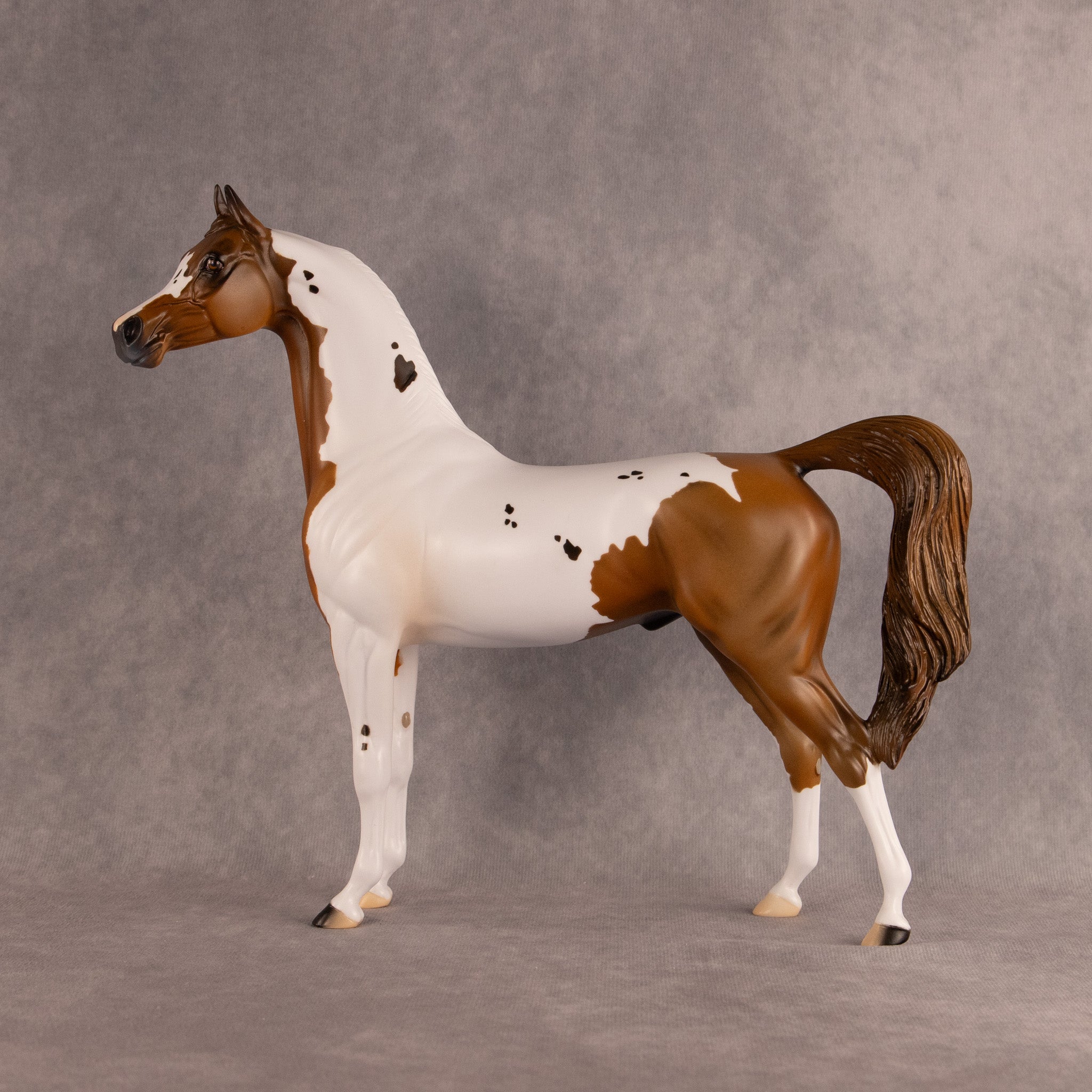 Spotted Luck OOAK Arabian Stallion by Alex Fortman DDOOAKs26