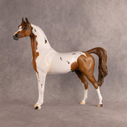 Spotted Luck OOAK Arabian Stallion by Alex Fortman DDOOAKs26