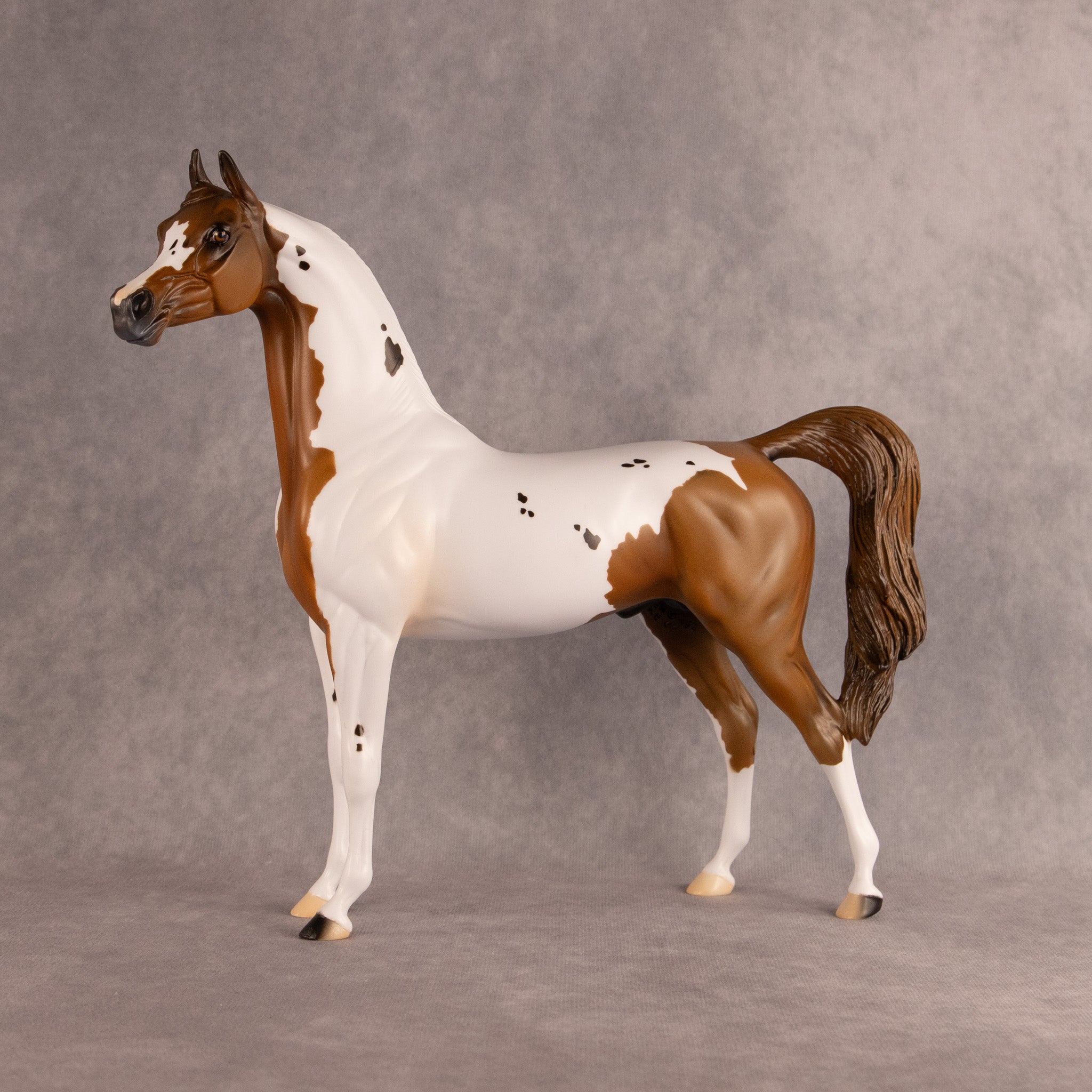 Spotted Luck OOAK Arabian Stallion by Alex Fortman DDOOAKs26