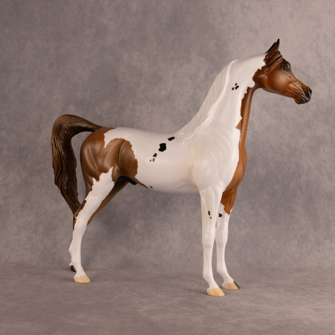 Spotted Luck OOAK Arabian Stallion by Alex Fortman DDOOAKs26