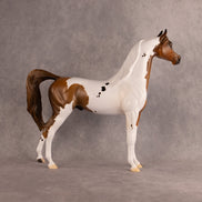 Spotted Luck OOAK Arabian Stallion by Alex Fortman DDOOAKs26