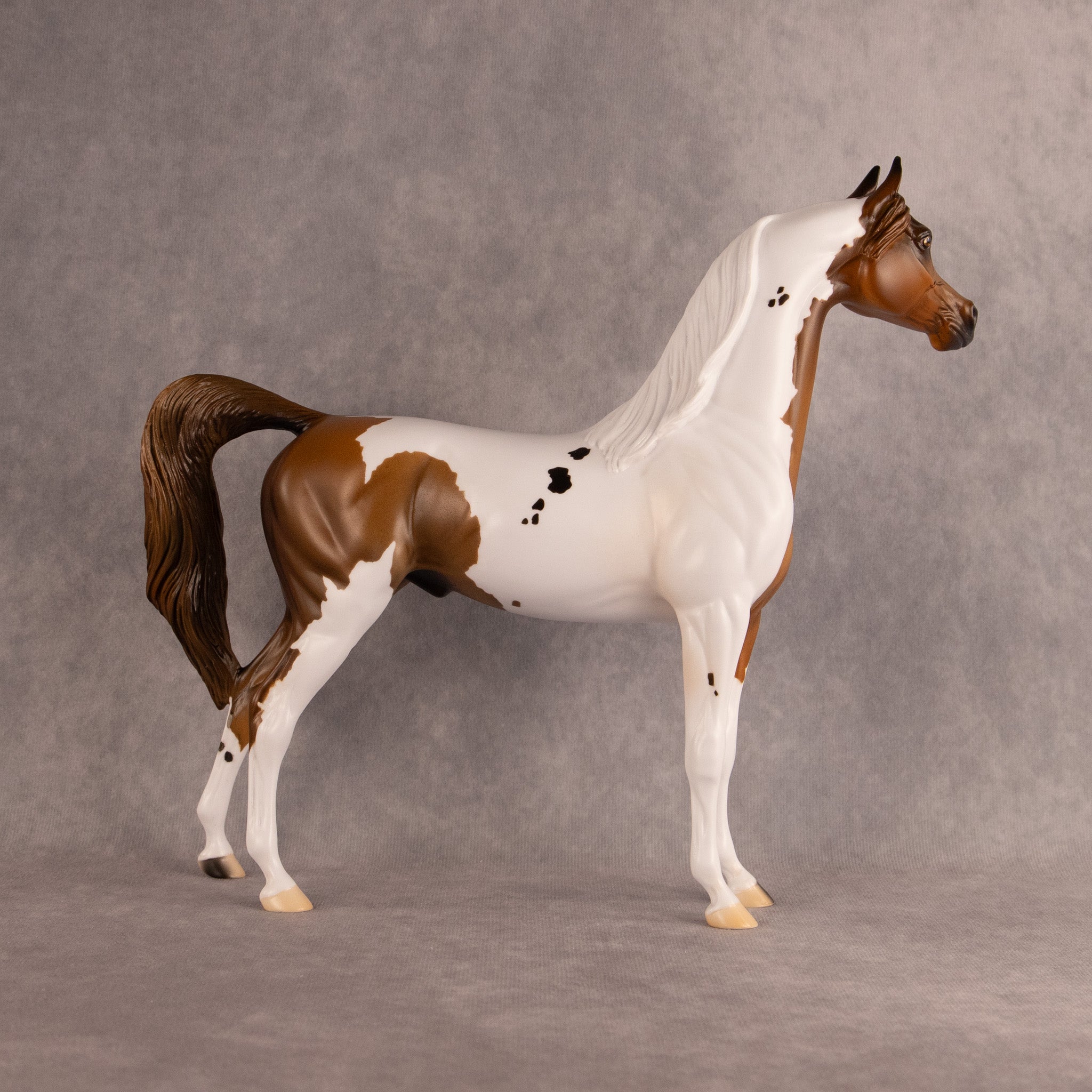 Spotted Luck OOAK Arabian Stallion by Alex Fortman DDOOAKs26