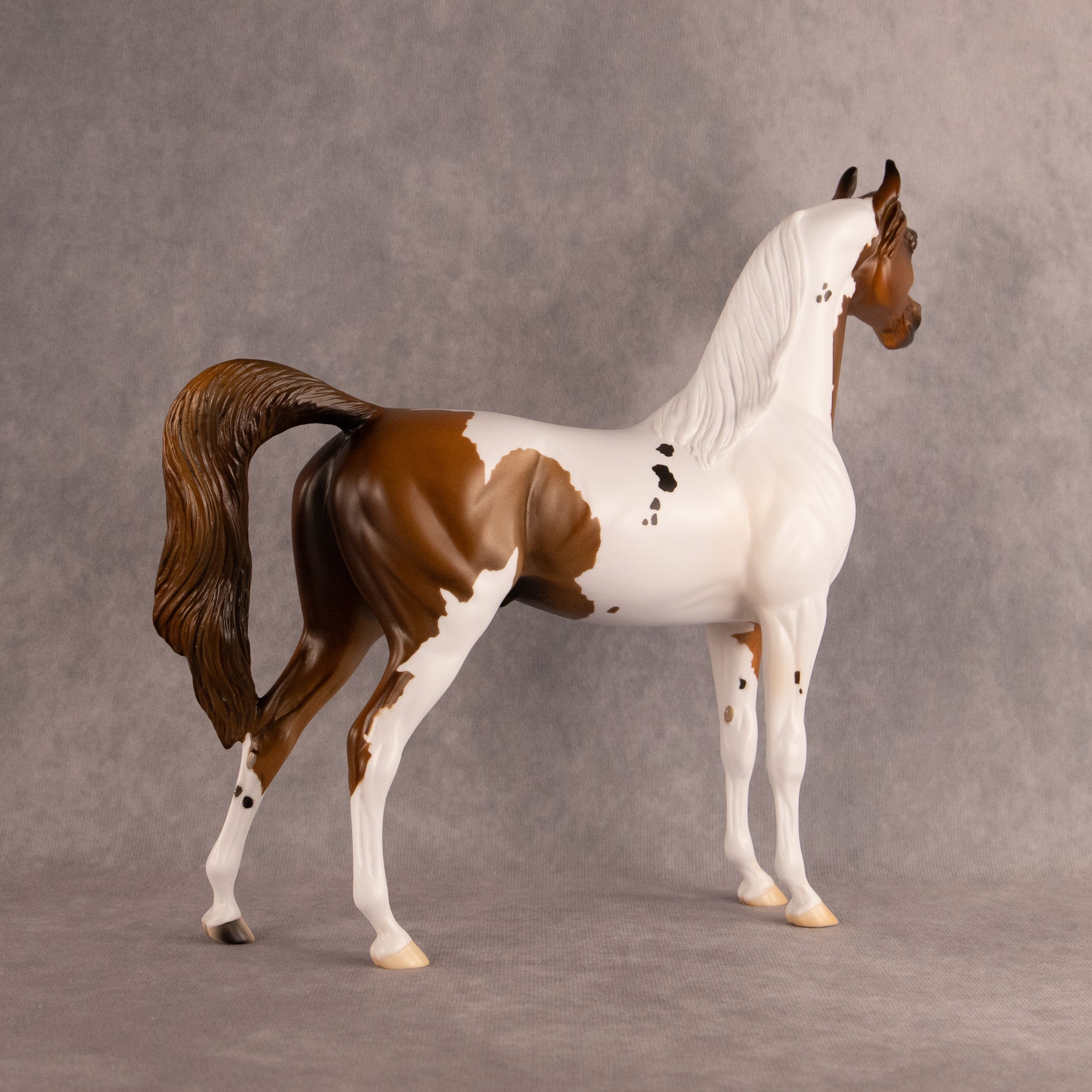 Spotted Luck OOAK Arabian Stallion by Alex Fortman DDOOAKs26