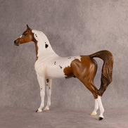 Spotted Luck OOAK Arabian Stallion by Alex Fortman DDOOAKs26