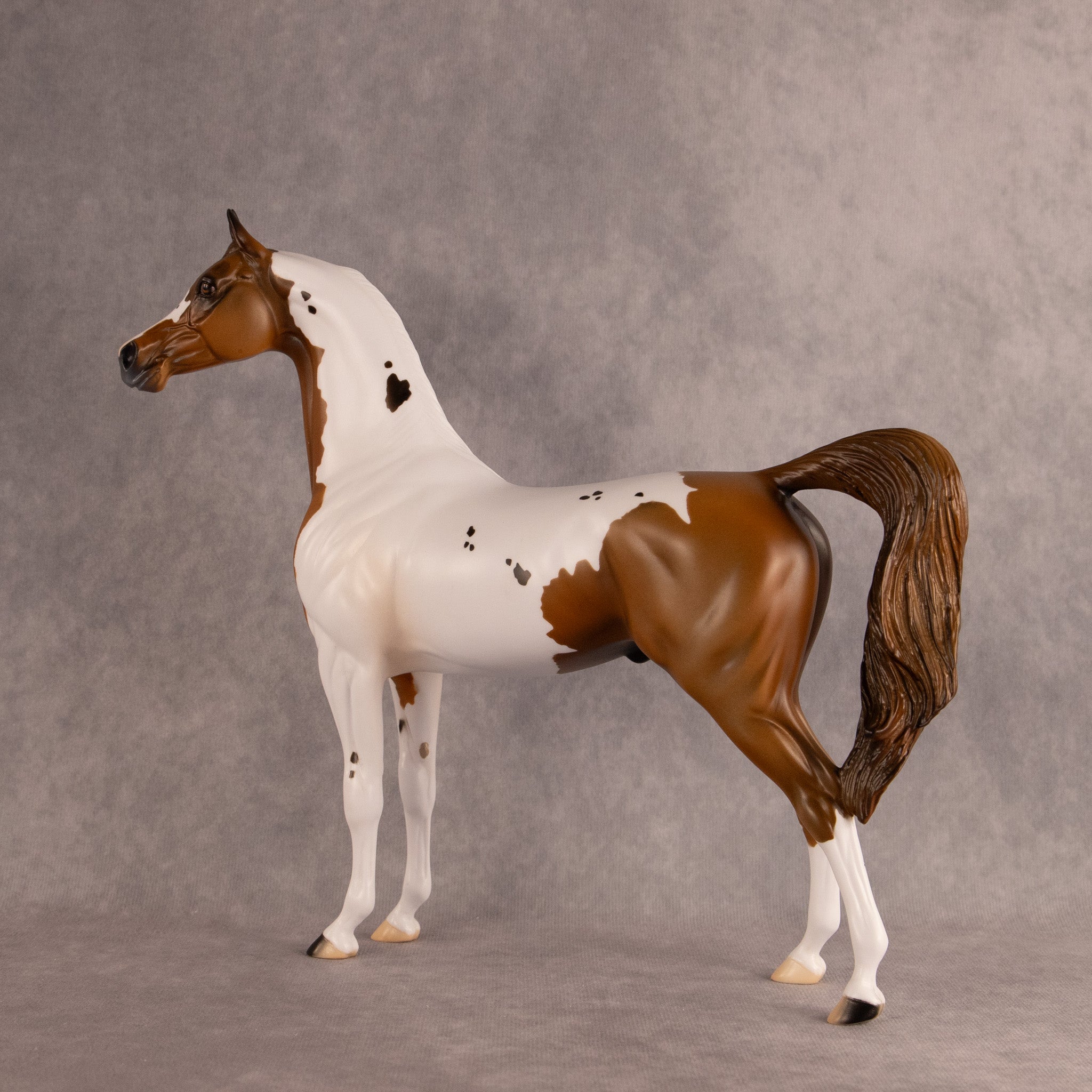 Spotted Luck OOAK Arabian Stallion by Alex Fortman DDOOAKs26
