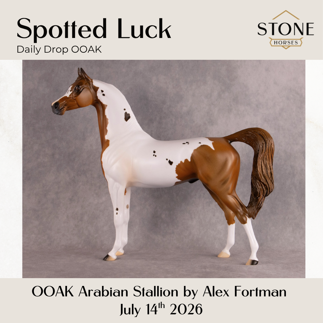 Spotted Luck OOAK Arabian Stallion by Alex Fortman DDOOAKs26