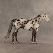 Spotted Owl OOAK Ideal Stock Horse by Madi Wiseman DDOOAKs26