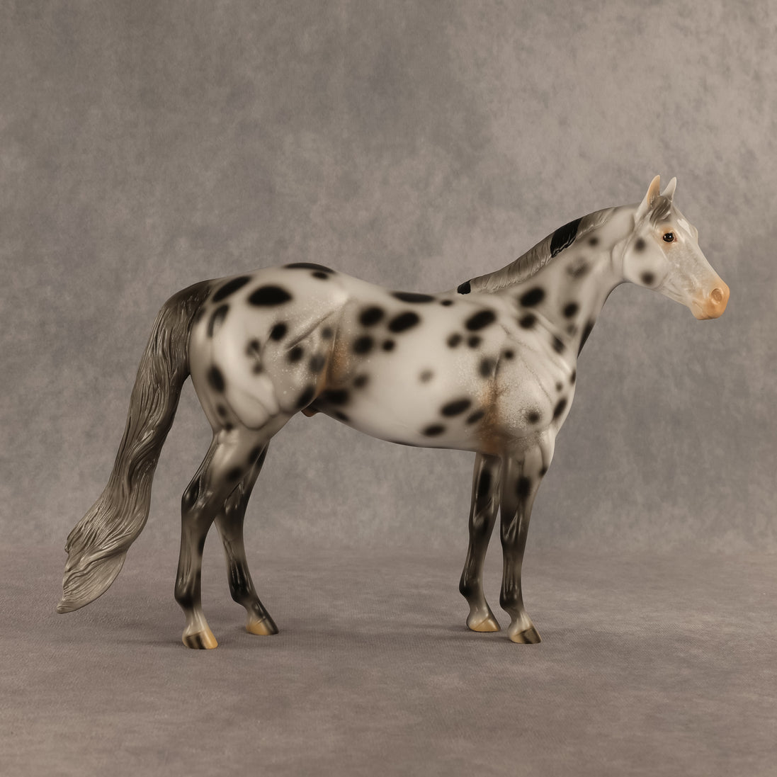 Spotted Owl OOAK Ideal Stock Horse by Madi Wiseman DDOOAKs26